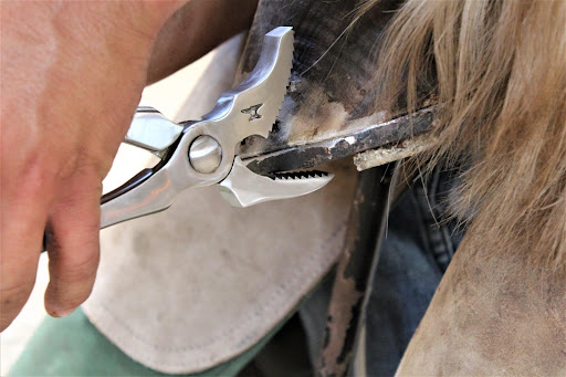 Purcell Farrier Supply - PFS - Thumbnail