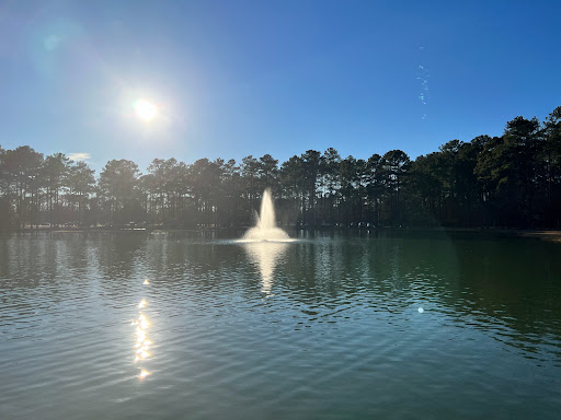 Dellinger Park - Visual
