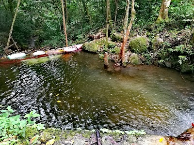 Photos of Parque Nacional La Tigra