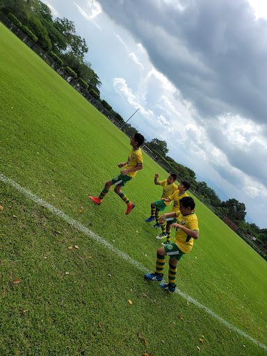 Campos Deportivos Domingo Sabio Gallery - Mexico