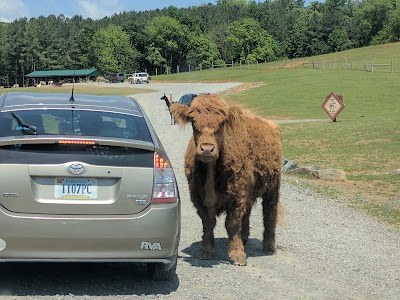 Photos of Virginia Safari Park