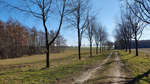 Naturpark Hümmling - Thumbnail
