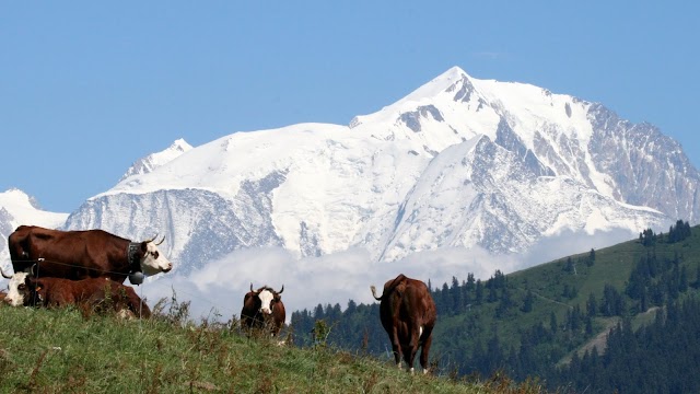 Col des Aravis