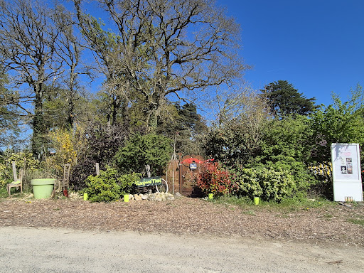 Photo de ACSSA à Saint-Antoine-du-Rocher (37360)
