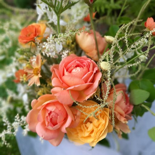 Tamara's Design Gallery - United States