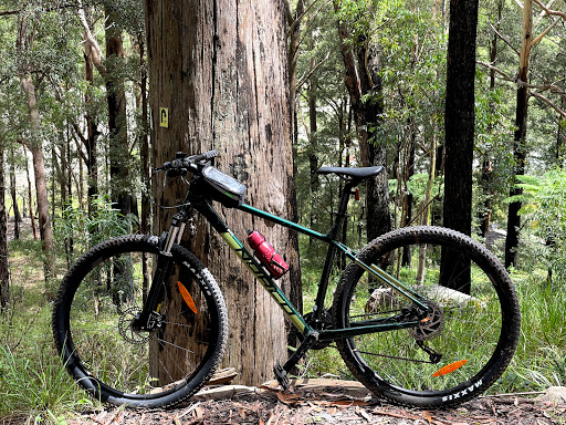 Hornsby Mountain Bike Trail - Thumbnail