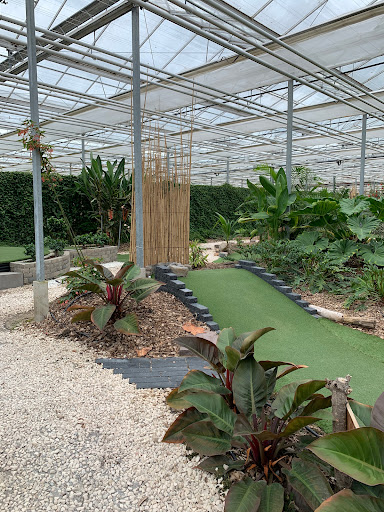 Indoor Adventure Minigolf - Thumbnail
