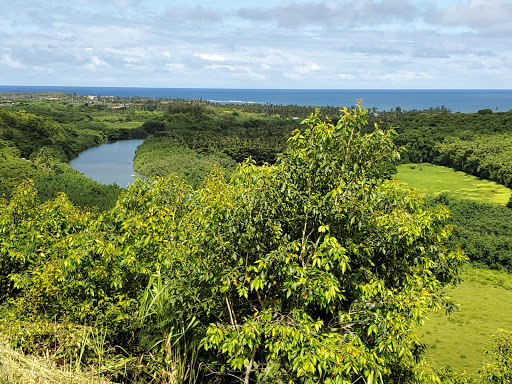 Opaeka‘a Falls - Thumbnail