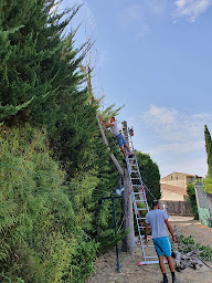 Photo n°21 de Élagueur 34 à Montpellier (Service d'élagage)
