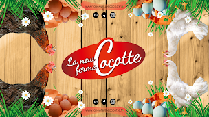 Photo n°6 de La New Ferme Cocotte à Grangues (Marchand d'œufs)