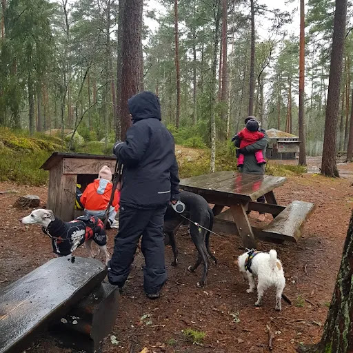 Markaskogen - Visual