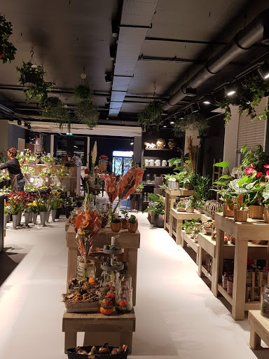 Stationshop / Speelman Bloemen Sneek - Thumbnail