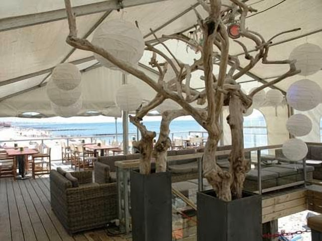 Beachclub Zuiderduin - Discotheek