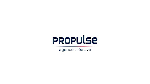 Photo n°8 de Propulse à Dijon (Service d'hébergement de site Web)
