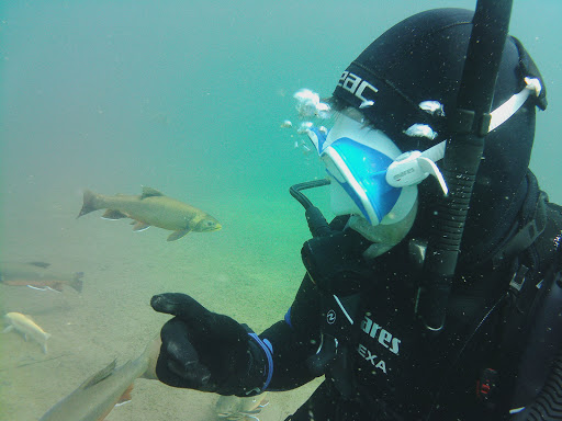 Dive Guide Patrick Schultz - Visual