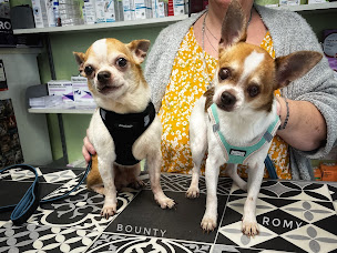 Photo n°16 de Cabinet Vétérinaire Armand Dutreix à Limoges (Service de soins à domicile)