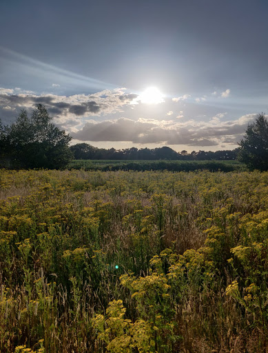 't Louwersbos - Thumbnail