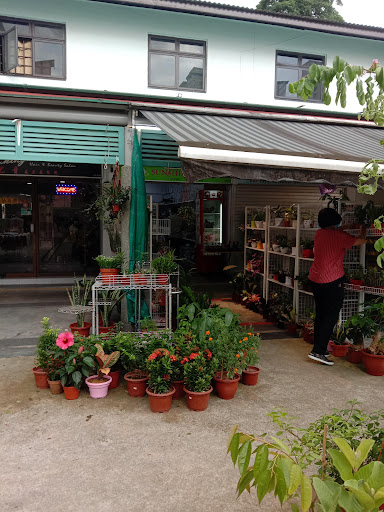 Sunshine Floral Pte Ltd