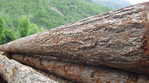 Segheria Giordano Srl