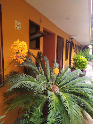 Posada San Luis