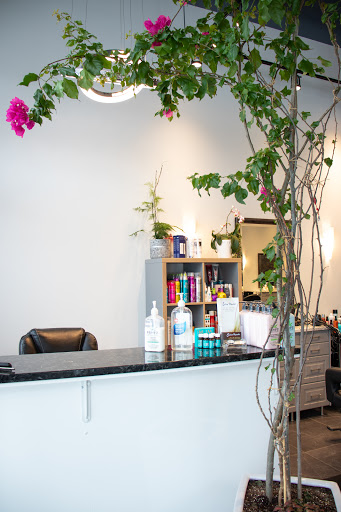 Salon Populus - Thumbnail