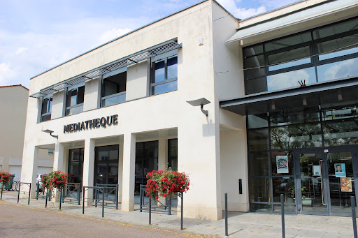 Library De Ludres