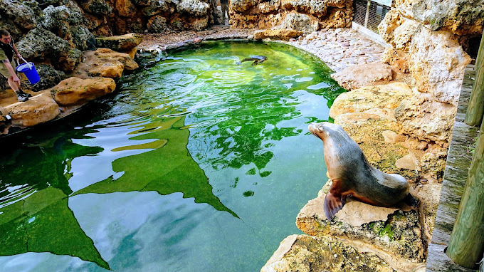 Adelaide Zoo