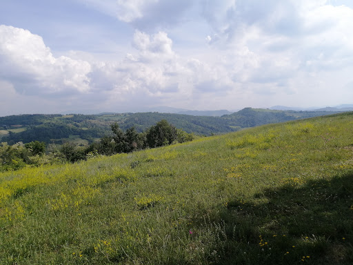Monte Terso - Visual