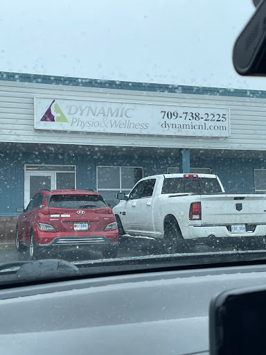 Dynamic Physio and Wellness - Thumbnail