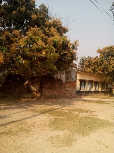 Photos of Hitampur Jame Mosque (হিতামপুর জামে মসজিদ)