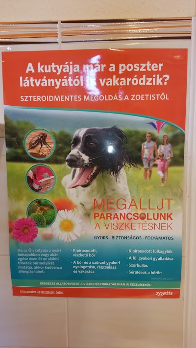 Photos of Profivet