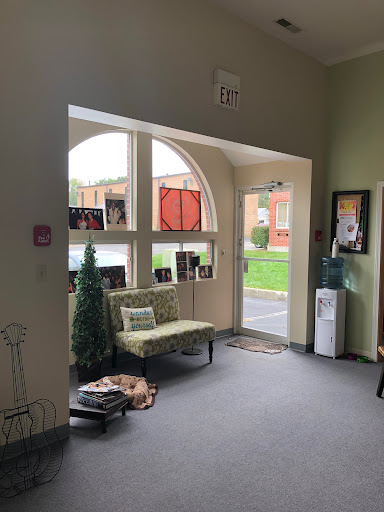 Rose Studios - Visual