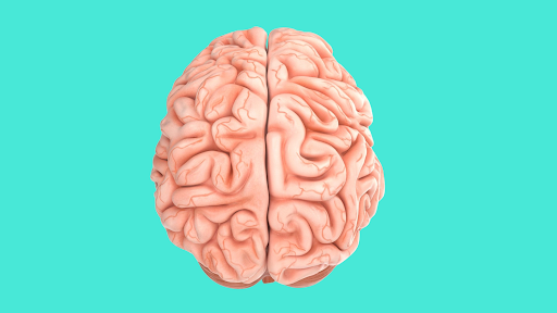 Brain-Up - Visual