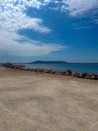 Photo n°43 de À la Voile Blanche - Restaurant Bouzigues Etang de Thau à Bouzigues (Restaurant de fruits de mer)