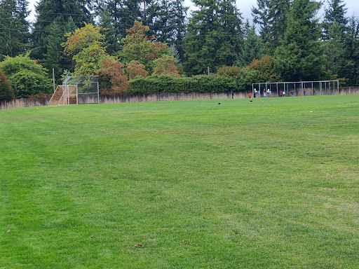 Robinswood Cricket Field - Thumbnail