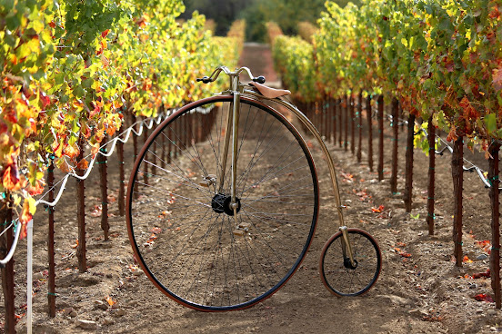 Dutcher Crossing Winery by null