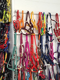 Photo n°4 de Sellerie du Rouergue à Luc-la-Primaube (Magasin d'équitation)