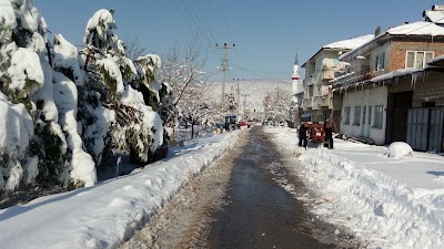 Photos of Pazart&uuml;rk Bah&ccedil;eşehir