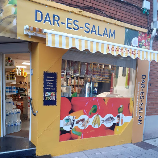 Alimentation exotique DAR-ES-SALAM Logo