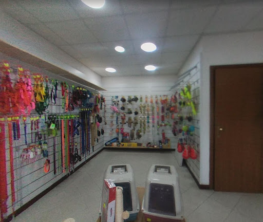 Balù Store - Thumbnail