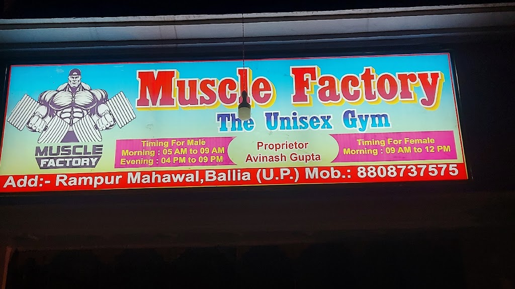 Muscle Factory The Unisex Gym
