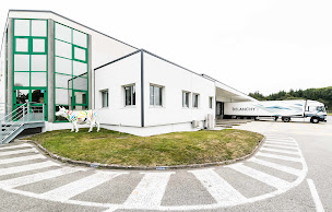 Photo n°1 de DELANCHY - Frigo Transports 56 à Bignan (Société de transport routier)