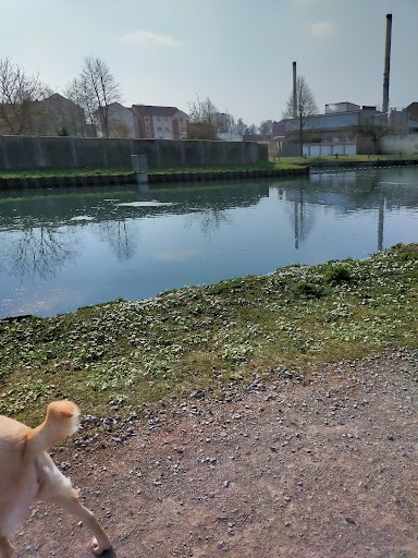Ecluse 6 canal du nord