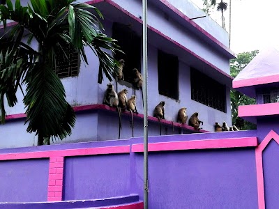 Photos of Keshabpur Upazila Post Office
