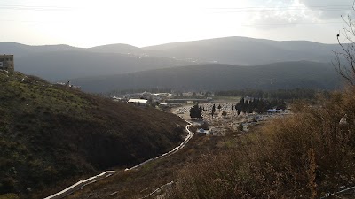Photos of בית כנסת צאנז