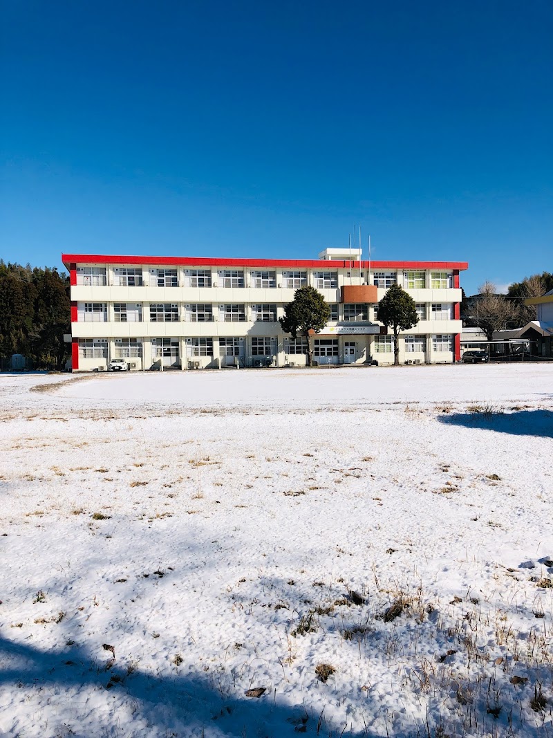 INTS (Interns Needed Training & Support) 株式会社