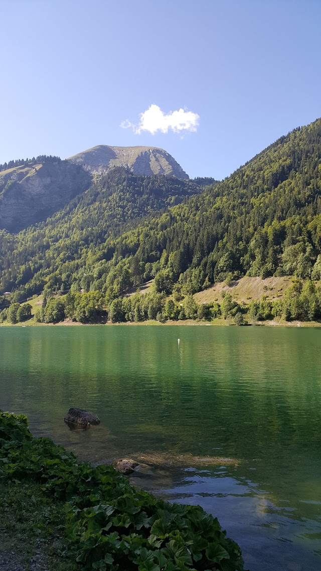 Lac De Montriond