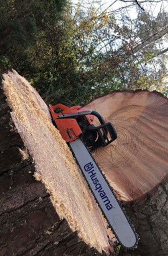Overstreet Tree Service