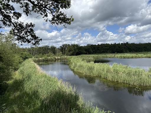 Greenspot Munsterbos