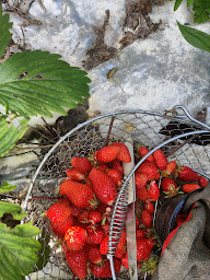 Photo n°26 de Les gîtes Andé Normandie la Seine en vélo à Andé (Complexe d'appartements meublés)